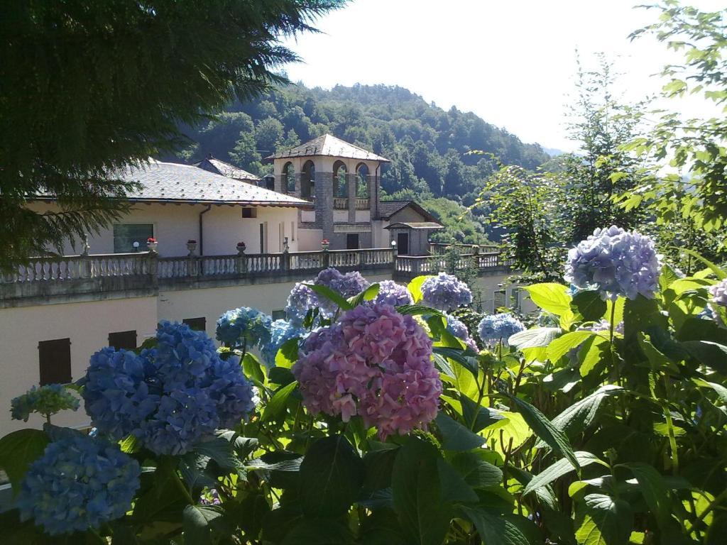 Hotel Villa Delle Ortensie Sant'Omobono Terme Exterior photo